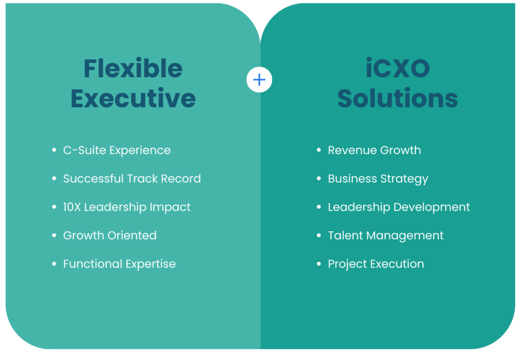 Flexible Executive + iCXO Solutions